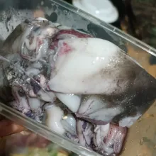 Pertama cuci bersih cumi cumi tapi jangan sampai tintanya hilang ya