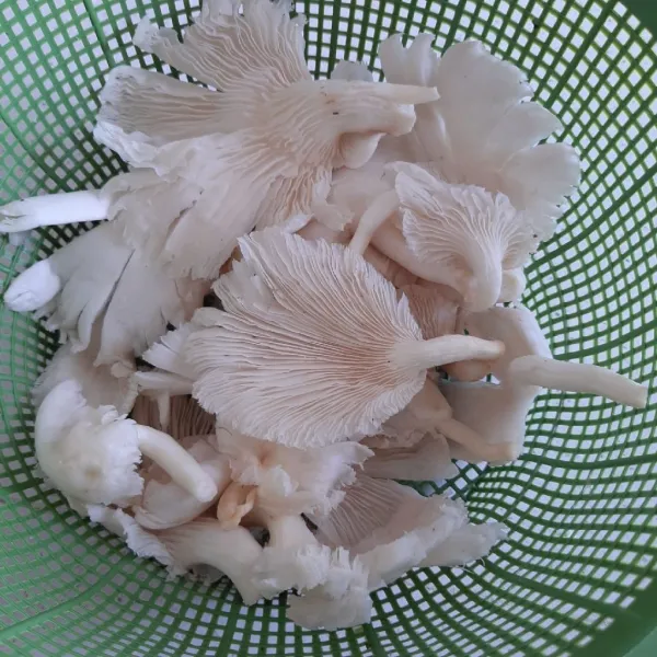 Cuci bersih jamur tiram. Peras airnya