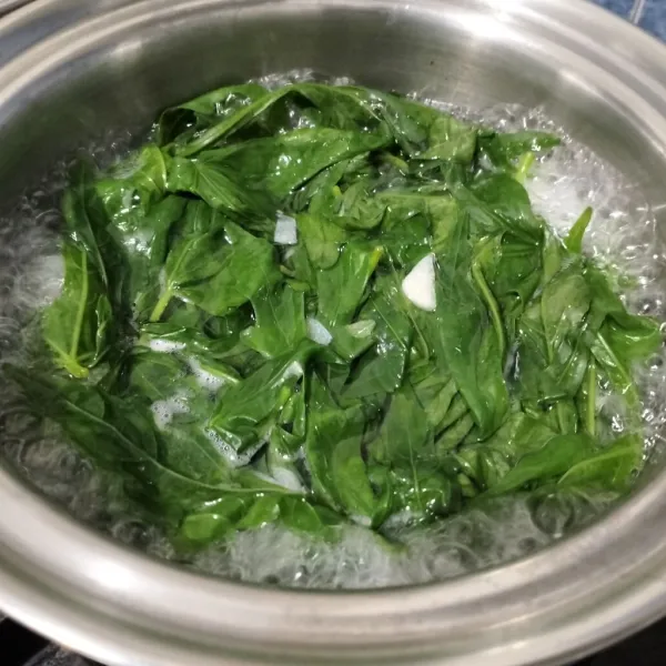 Rebus sampai daun layu.