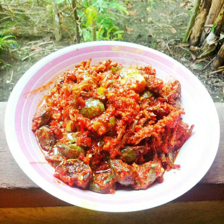 Balado Terong Bulat dan Teri