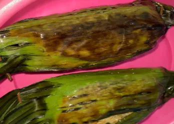 Nasi Bakar