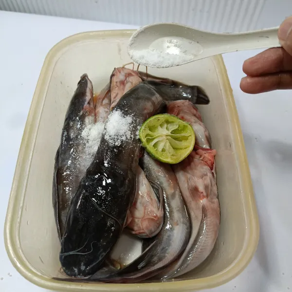 Lumuri lele dengan jeruk nipis dan sedikit garam. Diamkan 15 menit kemudian cuci bersih.