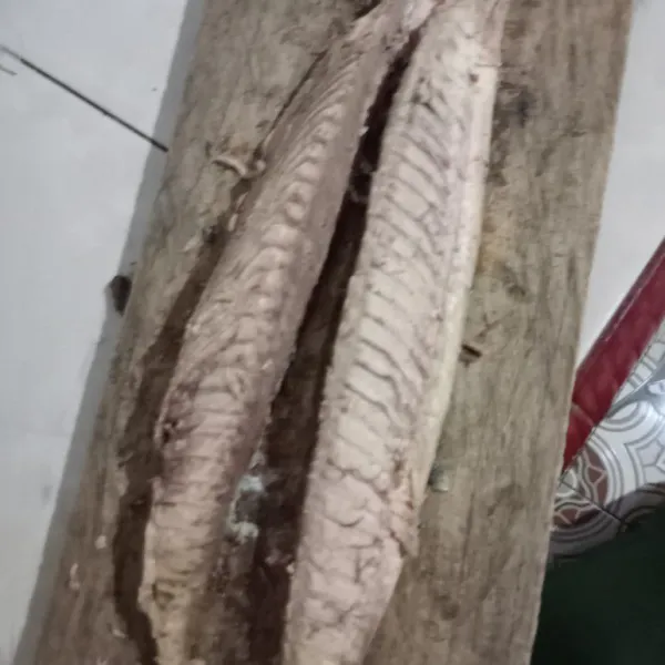 Buang duri ikan , lalu cuci bersih ikan tongkol