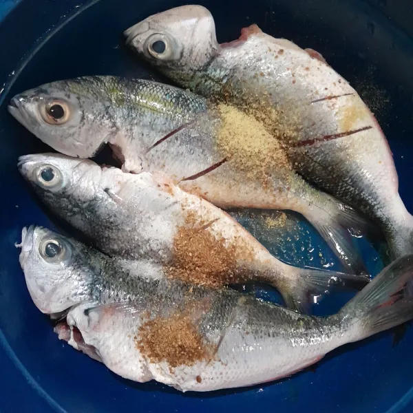 Cuci bersih ikan, lalu marinasi dengan garam, kaldu bubuk dan ketumbar Diamkan selama 15 menit