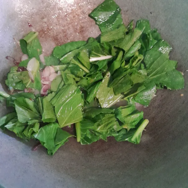 Masukkan sawi hijau yang sudah dipotong-potong dan dicuci bersih aduk rata