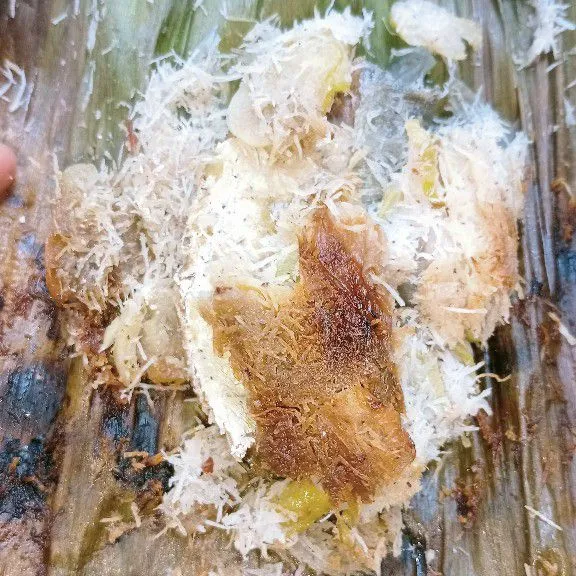 Ikan asin peda kelapa muda