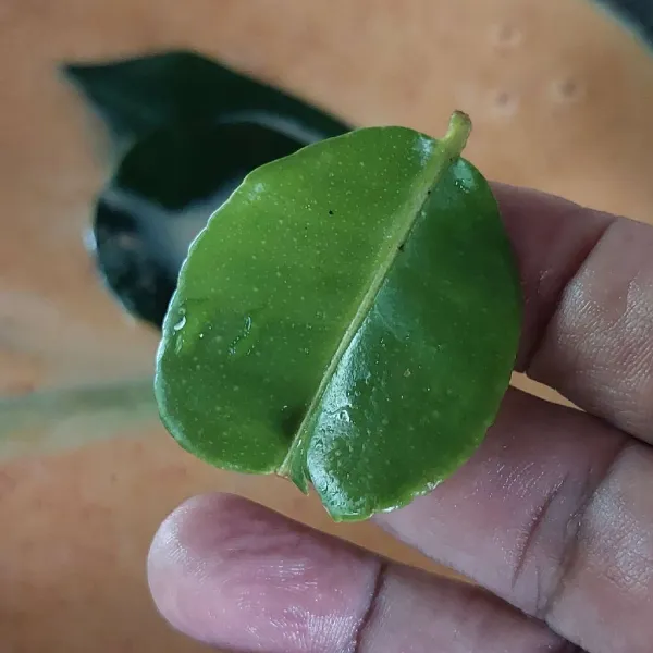 Tambahkan bumbu cemplung, masak hingga mendidih sambil diaduk.