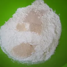 Dalam baskom campurkan tepung terigu , ragi instant , gula pasir. Aduk hingga tercampur rata.