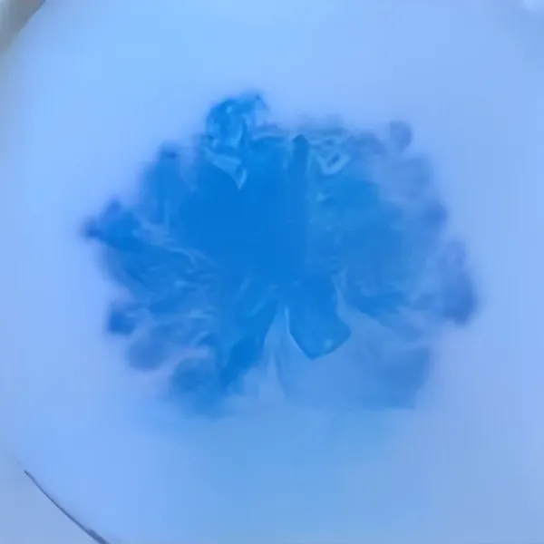 Campurkan 1 gr bubuk bunga telang, 20 gr tepung maizena, dan 10 gr gula dalam wadah