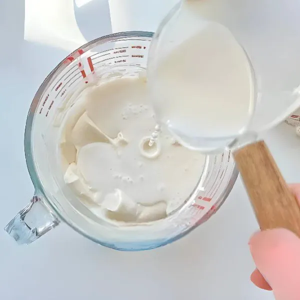 Masukkan 100 gr yogurt plain secara perlahan, aduk hingga halus
