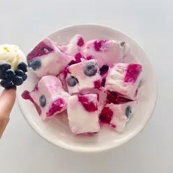 Frozen Yogurt Bites