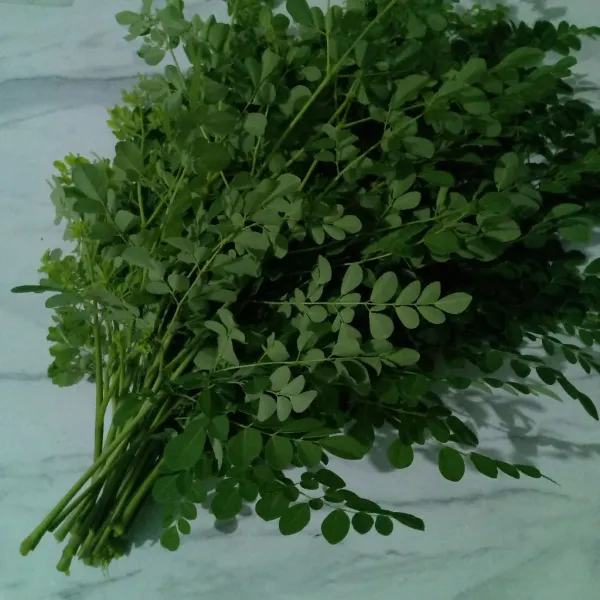 Petik daun kelor sesuai cabang-cabangnya.