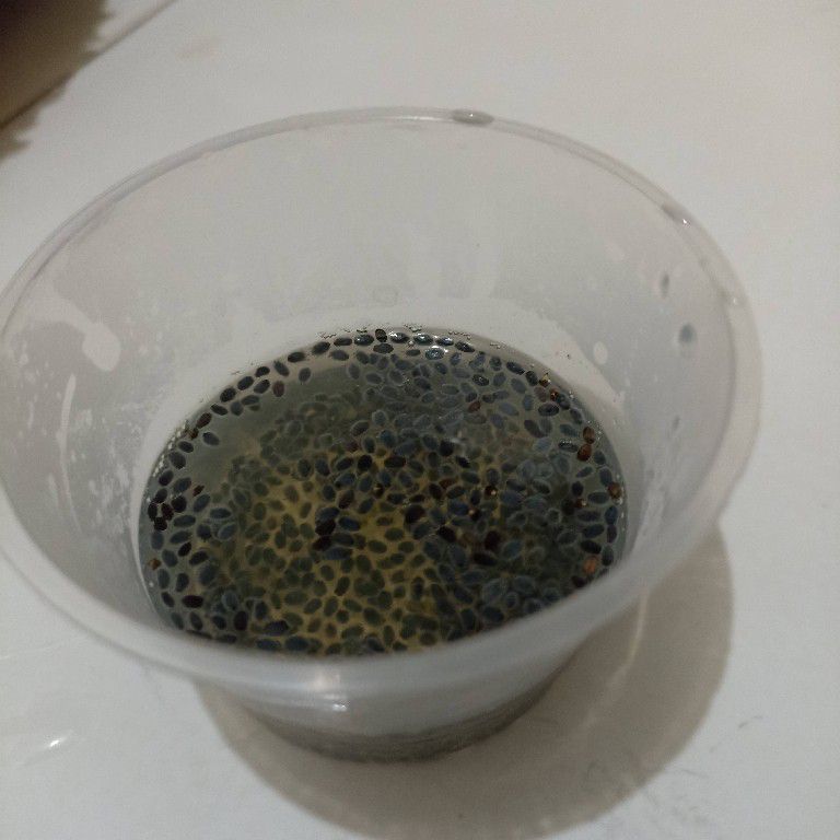 Langkah 5