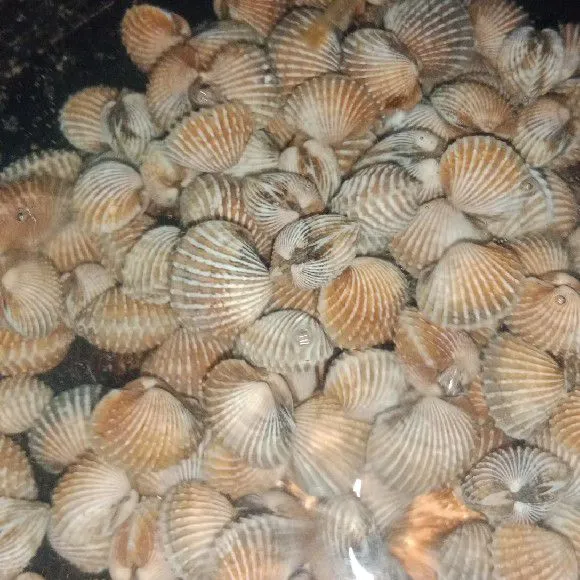 Lanjut buang air rebusan kerang yang pertama dan masukan air rebusan kedua ini air ditakar aja ya kak sesuai kebutuhan.