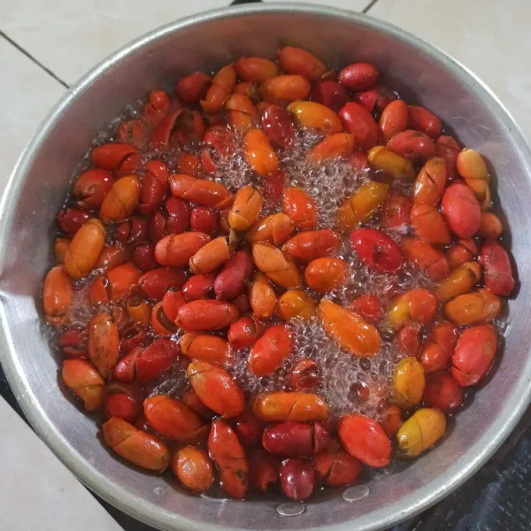 Rebus kulit melinjo.