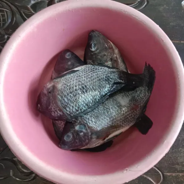 Siapkan ikan, buang sisik ikan, dan buang kotoran ikan. Kemudian cuci bersih dan balurkan garam dengan merata.