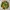 Sayur Bening Bayam Jagung