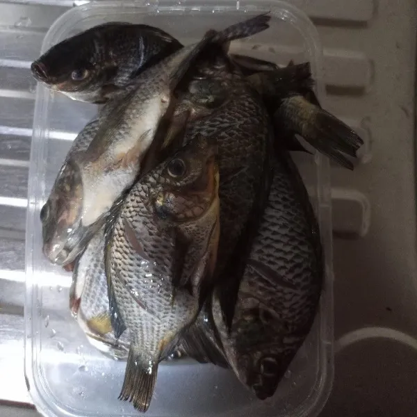 Cuci ikan mujair hingga bersih.