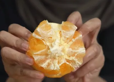 2. Tips Memotong Jeruk Sunkist 