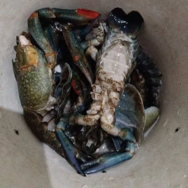 Siapkan lobster, bersihkan kotorannya.