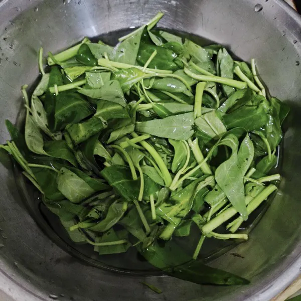Siang kangkung kemudian cuci bersih, rendam dengan air garam sebelum digunakan.