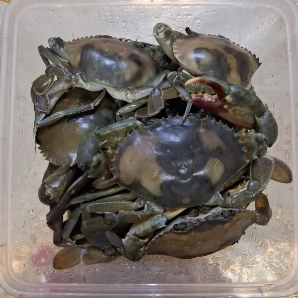 Cuci bersih kepiting, kemudian pisahkan cangkang, badan, dan capitnya. Lalu, pukul2 capit hingga sedikit hancur.