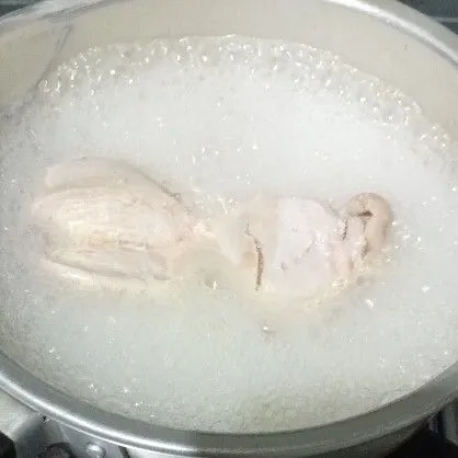 Rebus dada ayam hingga matang kemudian angkat dan suwir - suwir, sisihkan