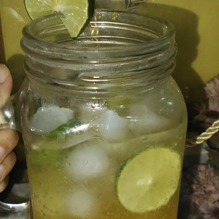 Es Mojito Segar