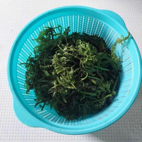 Cuci bersih, lalu potong-potong pakis sesuai selera.