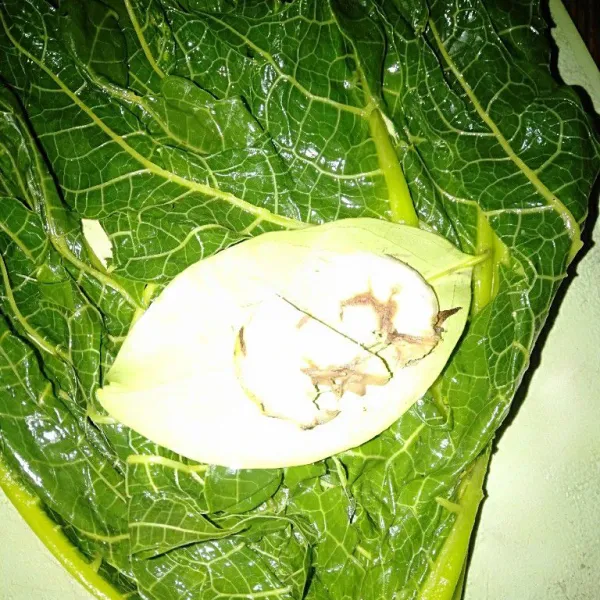 Ambil satu lembar daun pepaya yang sudah direbus sebelumnya, lalu tambahkan daun salam, lengkuas, Ikan asin dan isian yang dibuat sebelumnya. Bungkus rapat dan diikat.