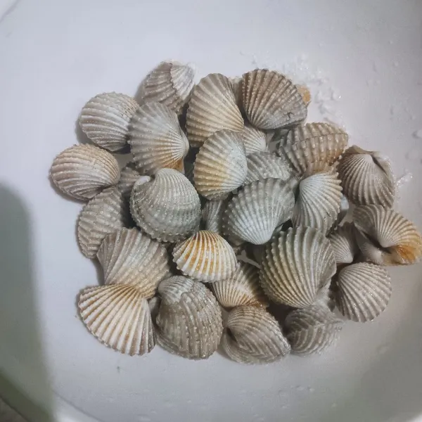 Cuci bersih dan sikat cangkang kerang supaya bersih dari pasir yang melekat.