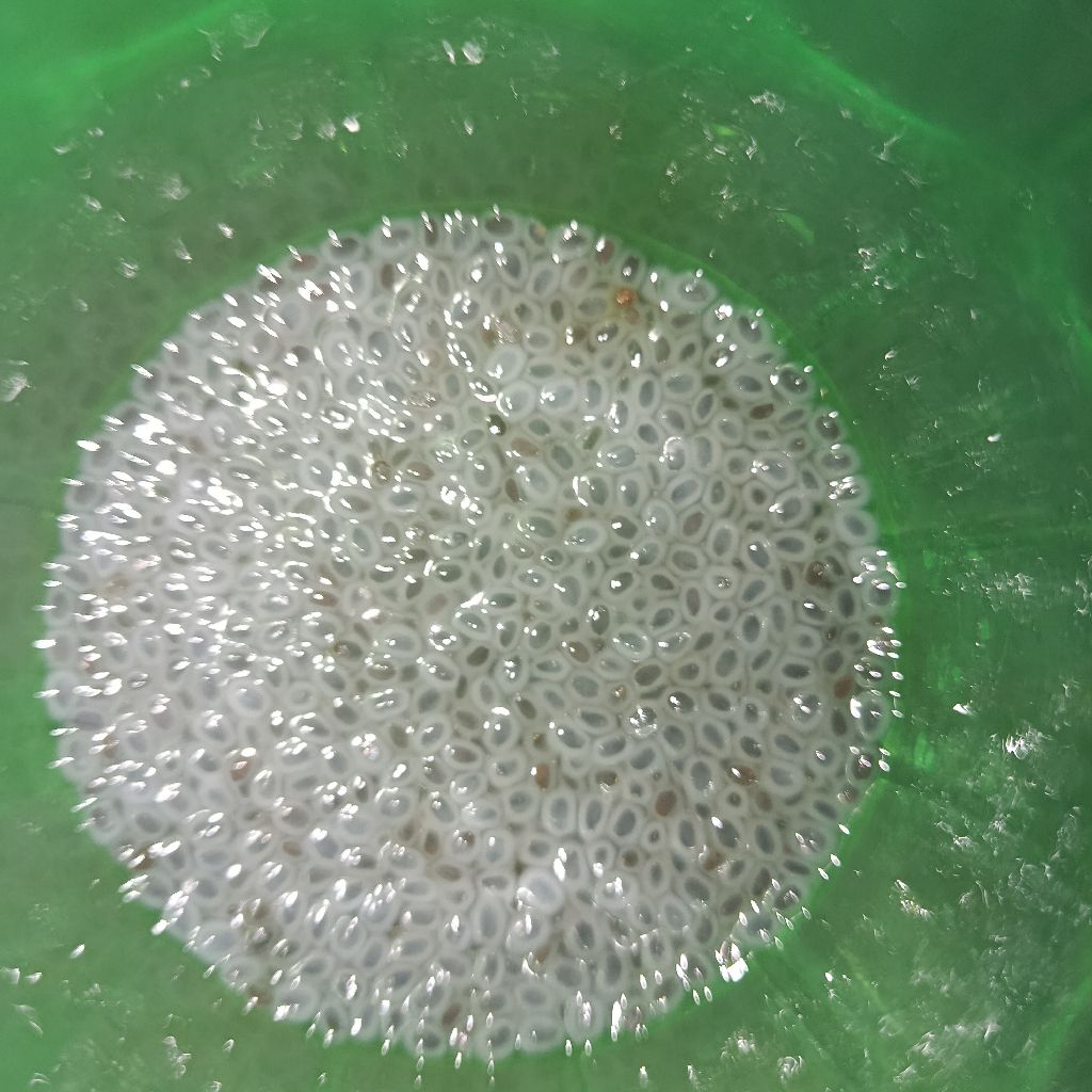 Langkah 1