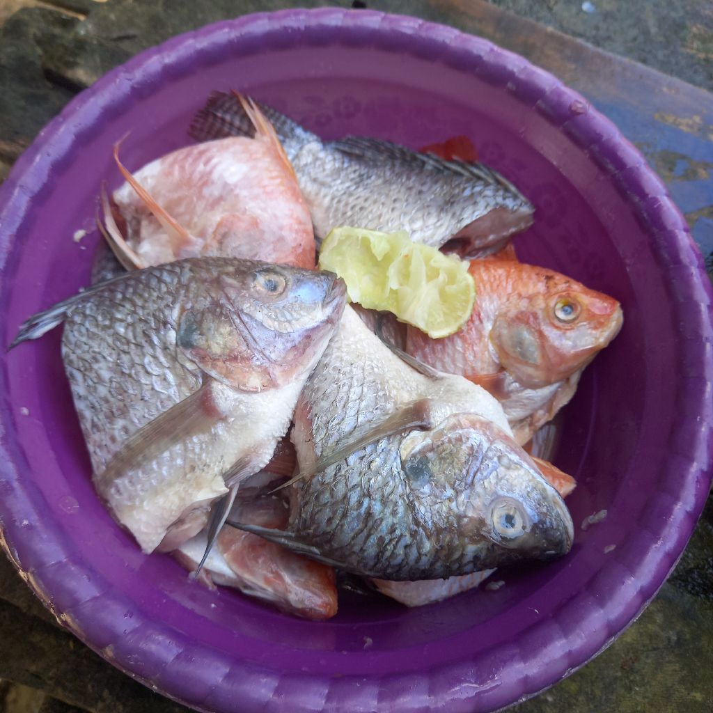 Langkah 1