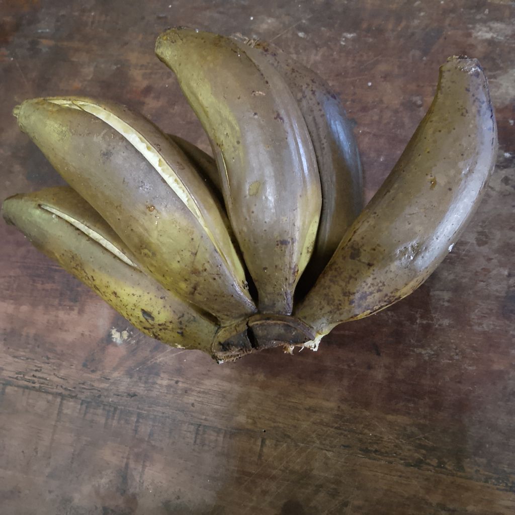 Langkah 1