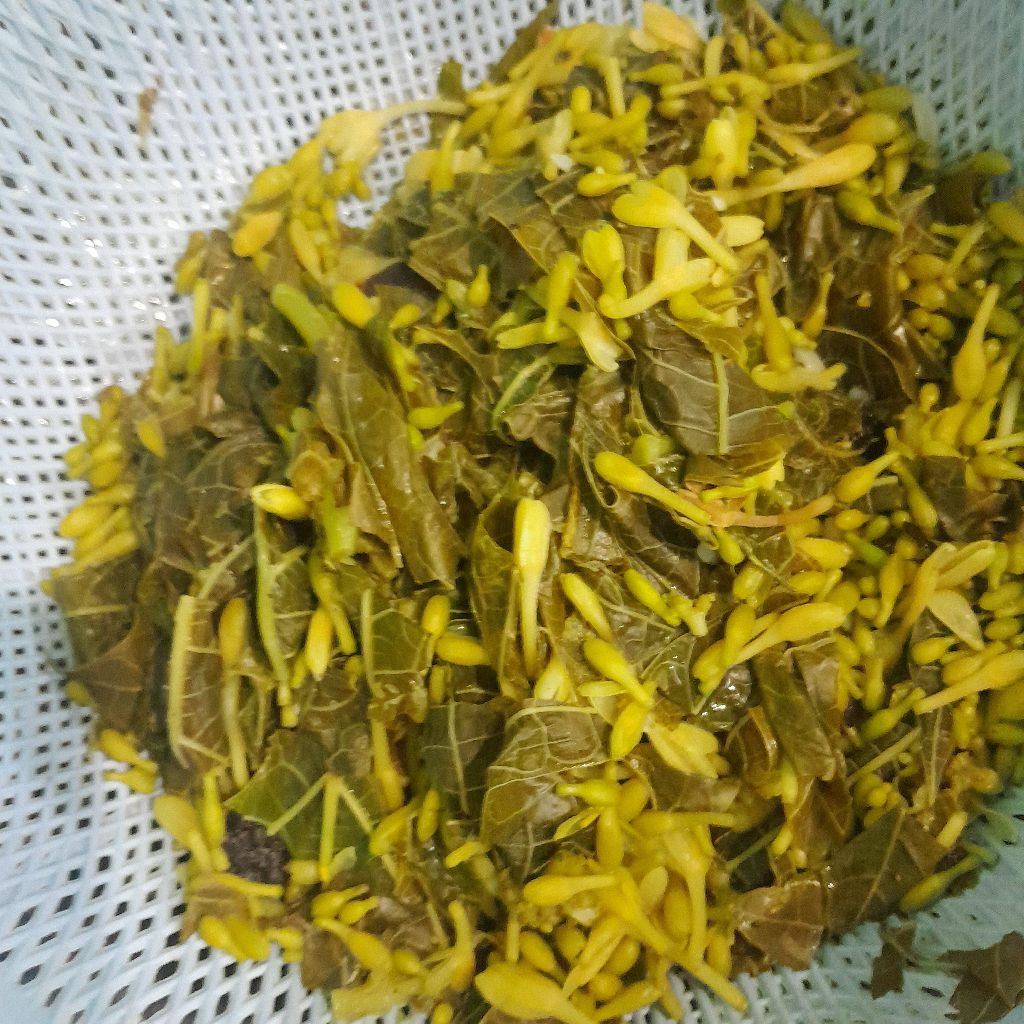 Langkah 1